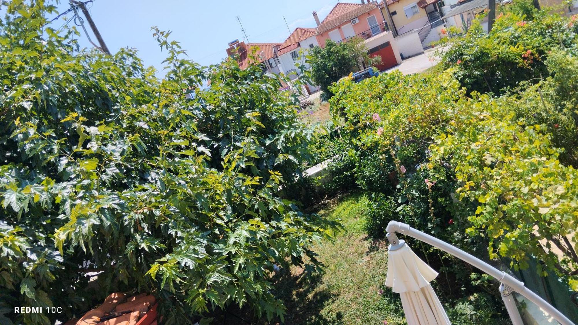 Holiday Home In Chalkidiki, Lakkoma Buitenkant foto