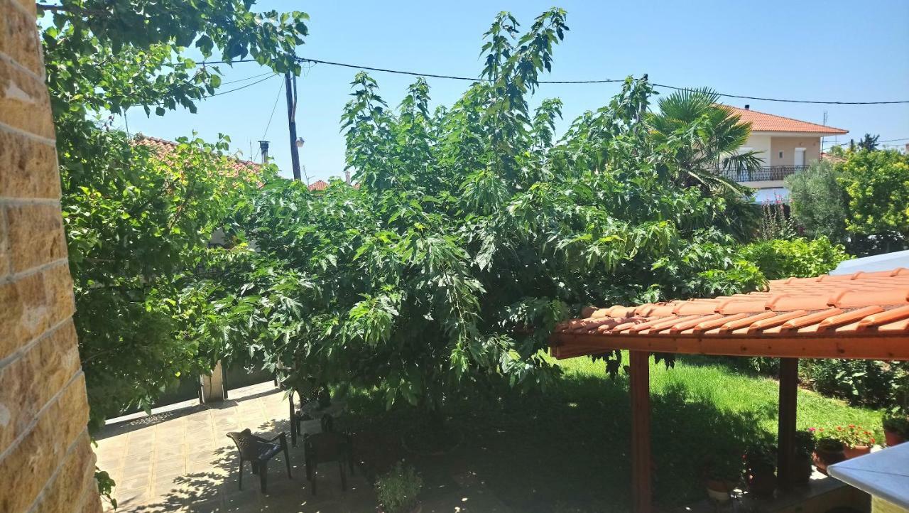 Holiday Home In Chalkidiki, Lakkoma Buitenkant foto